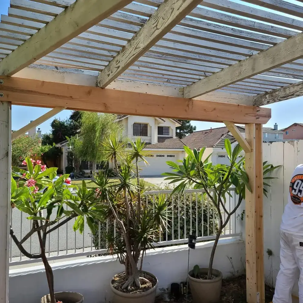 Before — Outdoor Structures — Project 4